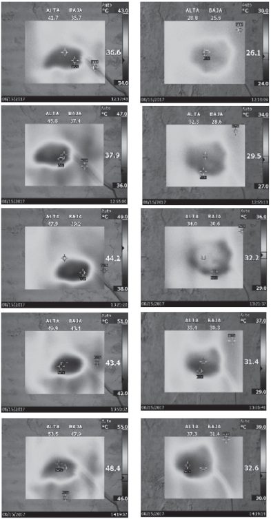 Fotos termográficas obtenidas en la cara anterior y posterior del
panel de bahareque con fibras durante la prueba de 2:30 horas.