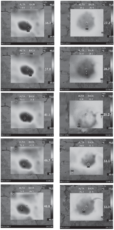 Fotos termográficas obtenidas en la cara anterior y posterior del
panel de bahareque con poliestireno durante la prueba
de 2:30 horas.